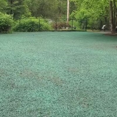 Freshly applied green hydroseed covering a residential lawn area with trees.