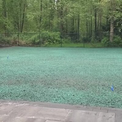 Freshly hydroseeded lawn area with green seed mulch in Washington backyard.