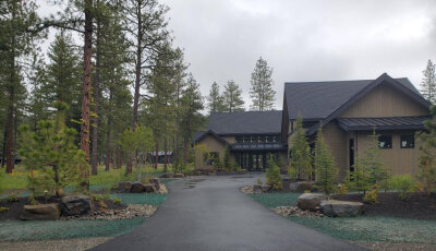 Fresh hydroseed installed along driveway near forested residential property.