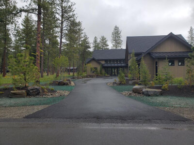 Fresh hydroseed installed along driveway near forested residential property.