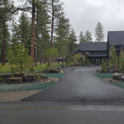 Fresh hydroseed installed along driveway near forested residential property.