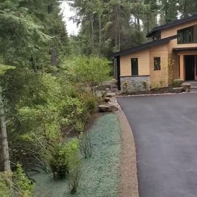 New hydroseed lawn installation along modern house driveway in forested area.