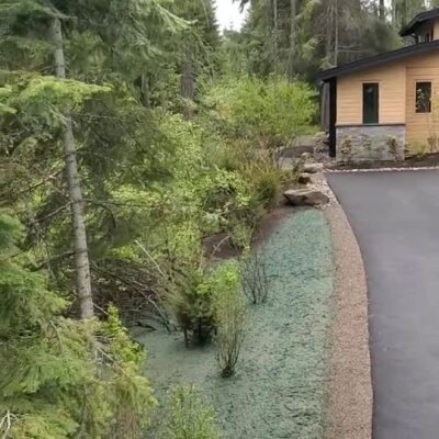 Hydroseed installation along driveway next to house in forested area.