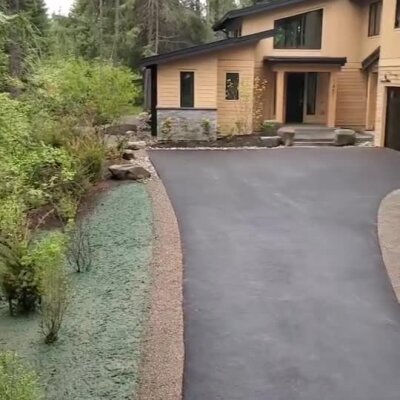 Newly applied hydroseed lawn along driveway at residential property in wooded area.