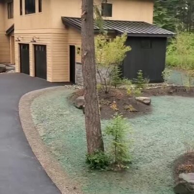Fresh hydroseed lawn applied around residential property with young trees and shrubs.