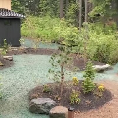 Hydroseed application around newly planted trees and landscaped area near forest in Washington.
