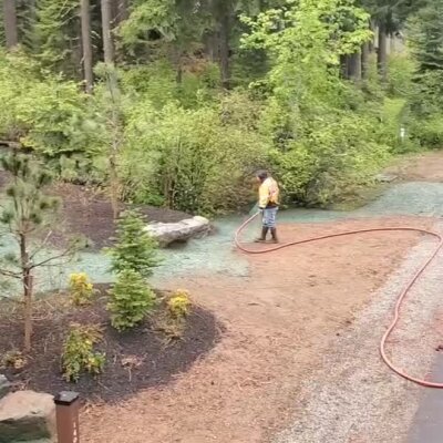 Worker applying hydroseed slurry on soil near trees and forested area in Washington.