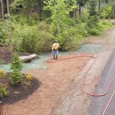 Worker applying hydroseed lawn mixture on bare soil near forested area in Washington state.