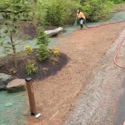 Worker spraying hydroseed on a landscaped area near shrubs and pathway in Washington State.