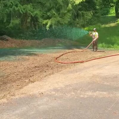 Worker spraying hydroseed on bare soil near roadside and trees in a Washington state location.