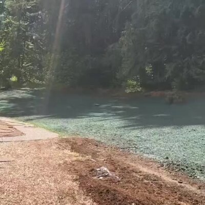 Hydroseed application in progress near forested area by Snoqualmie Tuck Lake.