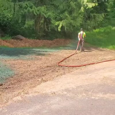 Worker spraying hydroseed on wood chip-covered ground near forest edge.