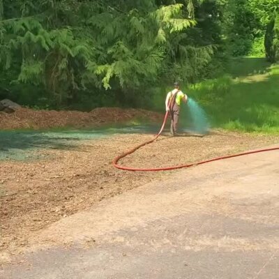 Worker spraying hydroseed on bare soil near forested area in Washington state.