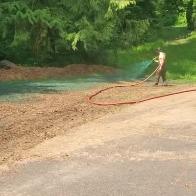 Worker spraying hydroseed mixture on roadside bare soil near forested area in Washington state.