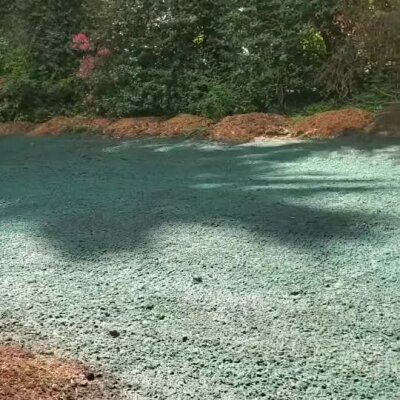 Fresh hydroseed application on lawn area near wooded edge for erosion control.