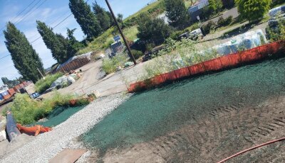 Fresh hydroseed application on commercial site slope near Seattle cruise ship facility.