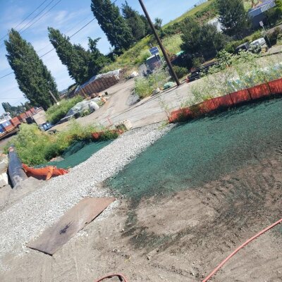 Fresh hydroseed application on commercial site slope near Seattle cruise ship facility.