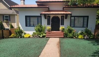 Freshly applied hydroseed lawn covering front yard around brick walkway in residential Snohomish home.