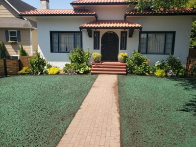 Freshly applied hydroseed lawn covering front yard around brick walkway in residential Snohomish home.
