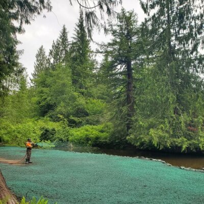 Worker spraying green erosion control hydroseed along riverbank in forested area.