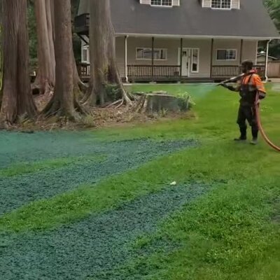Worker spraying erosion control hydroseed near large trees by residential house.