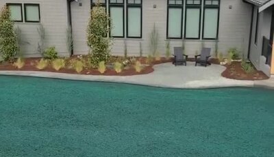 Fresh hydroseed applied on residential lawn with landscaping and patio seating.