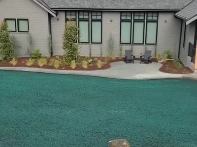 Fresh hydroseed applied on residential lawn with landscaping and patio seating.