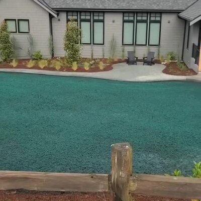 Fresh hydroseed applied on residential lawn with landscaping and patio seating.
