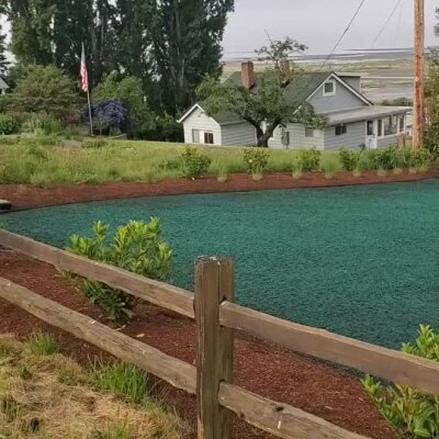 Fresh hydroseed lawn applied near a coastal home with wooden fence and landscaping.