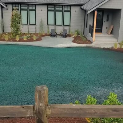 Freshly applied hydroseed lawn in residential front yard with patio and landscaping.