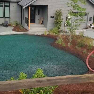Hydroseed application in front yard of residential home with landscaping and mulch beds.