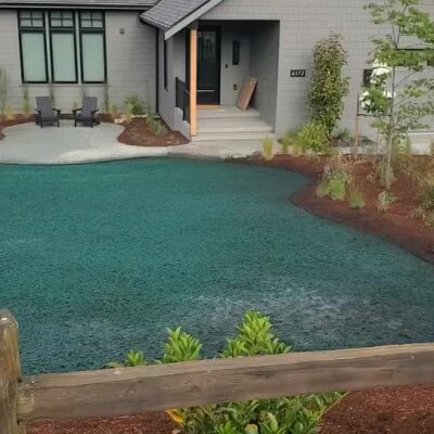 Freshly applied hydroseed lawn in front yard of modern Washington State home.