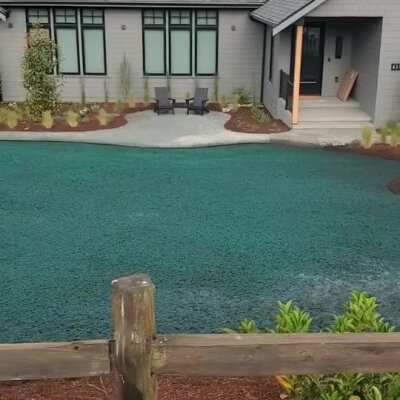 Newly installed hydroseed lawn spray in front yard of modern home on Whidbey Island.