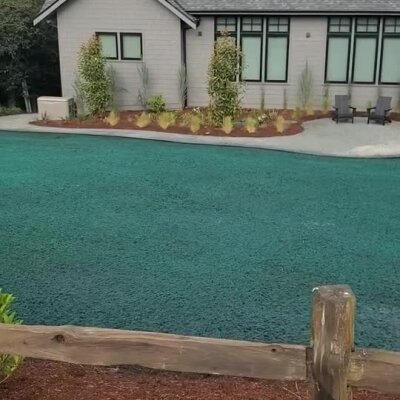 Freshly applied hydroseed lawn covering a residential backyard near a modern house.