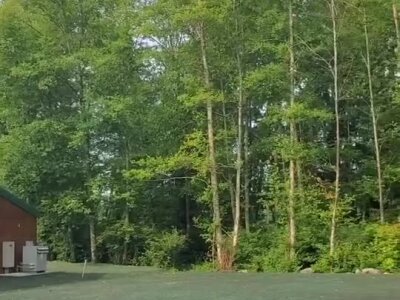 Newly treated erosion control spray applied on soil near wooded area.