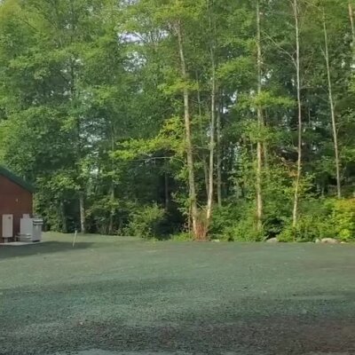 Freshly hydroseeded lawn next to a building with green forest background.