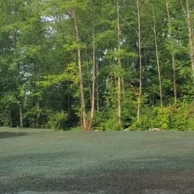 Newly applied erosion control spray on bare soil near forested area.