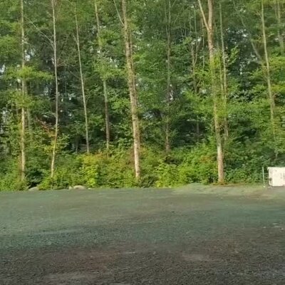 Freshly applied hydroseed covering soil near wooded area for erosion control.