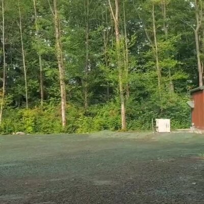 Fresh erosion control spray applied on ground near wooded area and building.