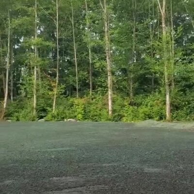 Freshly applied erosion control spray on ground near forested area.