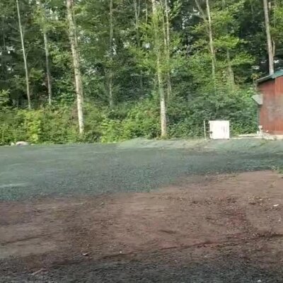 Freshly applied erosion control hydroseed on soil near trees and animal shelter building.