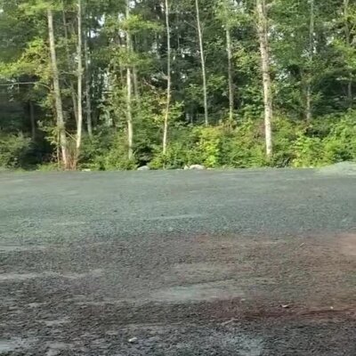 Freshly applied erosion control spray on bare soil near forested area.