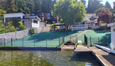 Waterfront residential lawn in Kirkland with fresh green hydroseeded grass near dock and fence.