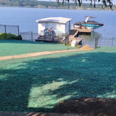 Newly hydroseeded lawn on a waterfront property with docks and a boat in Kirkland.