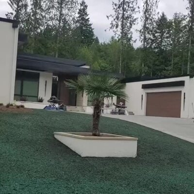 Hydroseeded front yard with palm planter at modern high-end Redmond home.