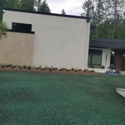Freshly installed green hydroseed lawn on a sloped front yard of modern home.