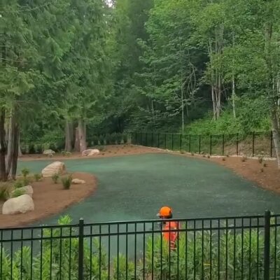 Hydroseed lawn application in wooded residential yard with black metal fence.