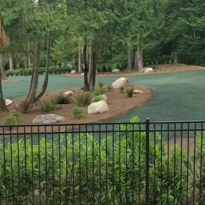 Hydroseeded lawn area with decorative rocks and trees behind black metal fence.