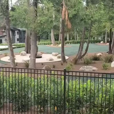 Newly installed hydroseed lawn and erosion control around trees in residential yard.