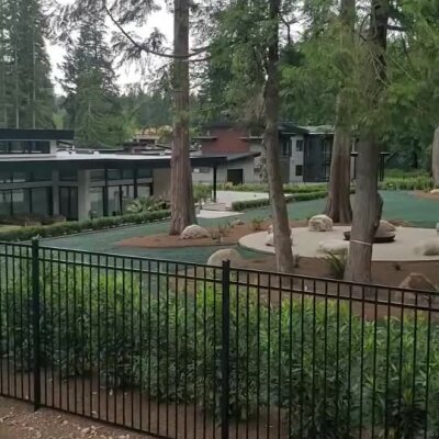 Newly hydroseeded lawn and erosion control around trees at modern Redmond home.